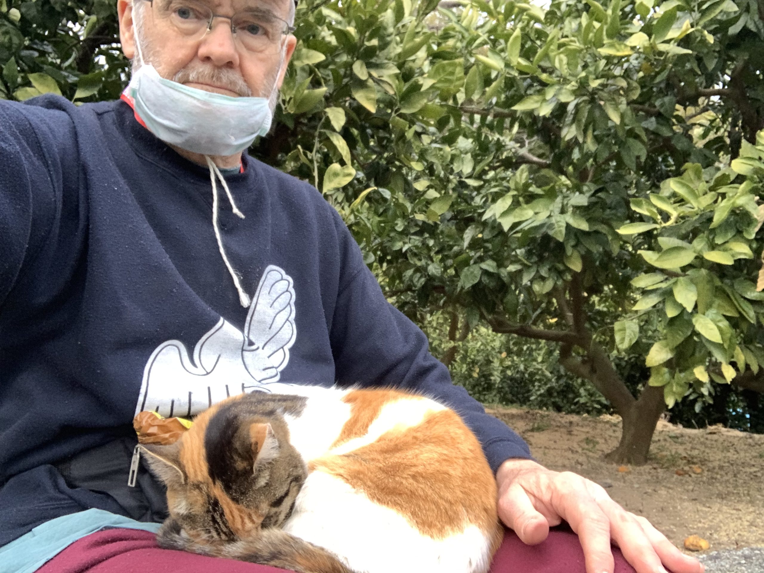 A cat I met on a walk